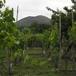 Vesuvio